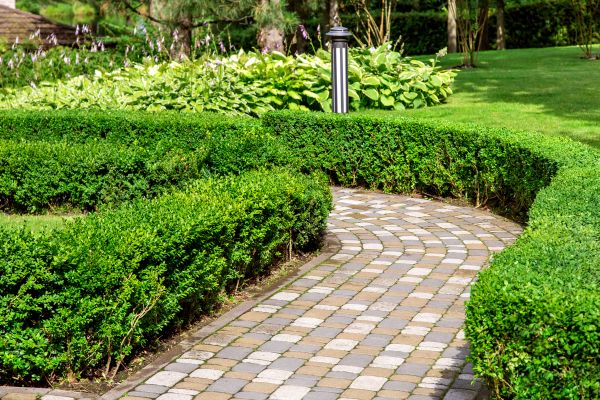 Cost of Paved Landscaping in Dunedin