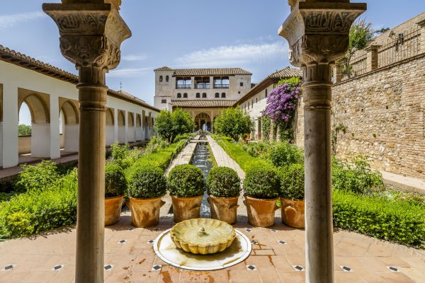 Cost of Courtyard Construction Service in Dunedin