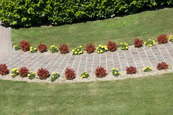 Garden Paving in Dunedin