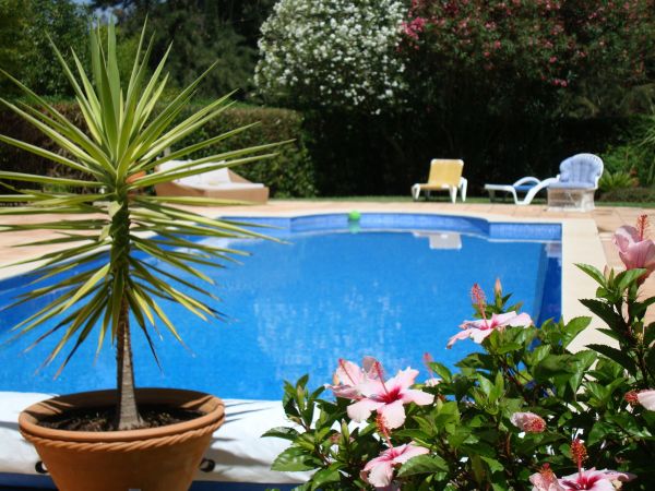 Cost of Pool Terrace Renovation in Dunedin