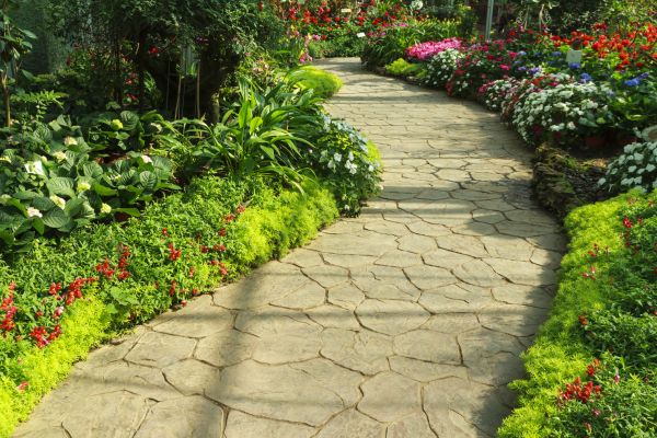 Cost of Stone Pathway Service in Dunedin