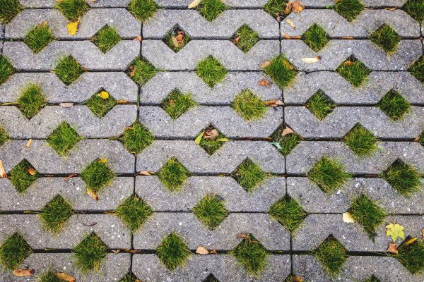 Cost of Porous Paver Installation in Dunedin